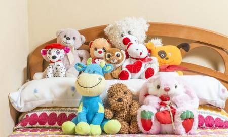 Picture for category Soft Toys